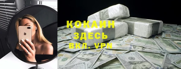 дурь Бородино