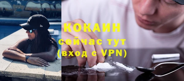 гидра Богородск
