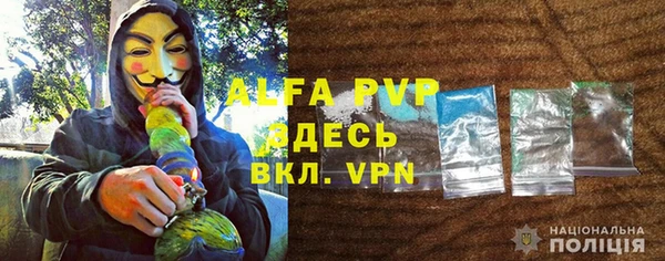 дурь Бородино