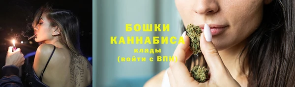 дурь Бородино