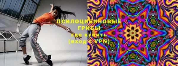 дурь Бородино