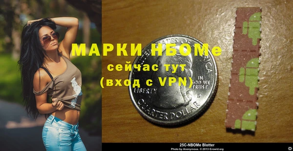 дурь Бородино