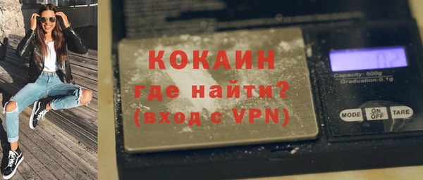 дурь Бородино