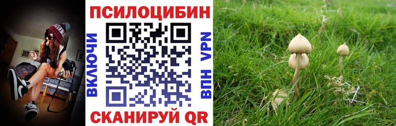 Псилоцибиновые грибы прущие грибы  Медногорск 